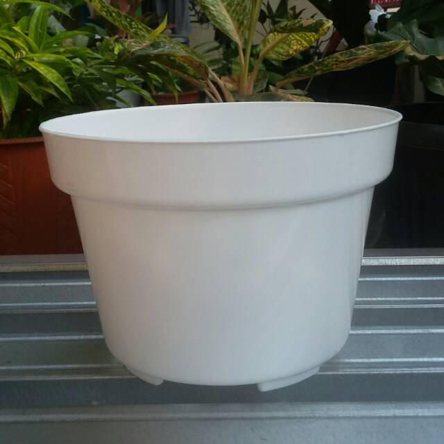 POT BUNGA PUTIH NKANTHA 25 CM POT TANAMAN PUTIH 25CM POT BUNGA PUTIH NKANTHA 25 CM POT TANAMAN PUTIH 25CM
