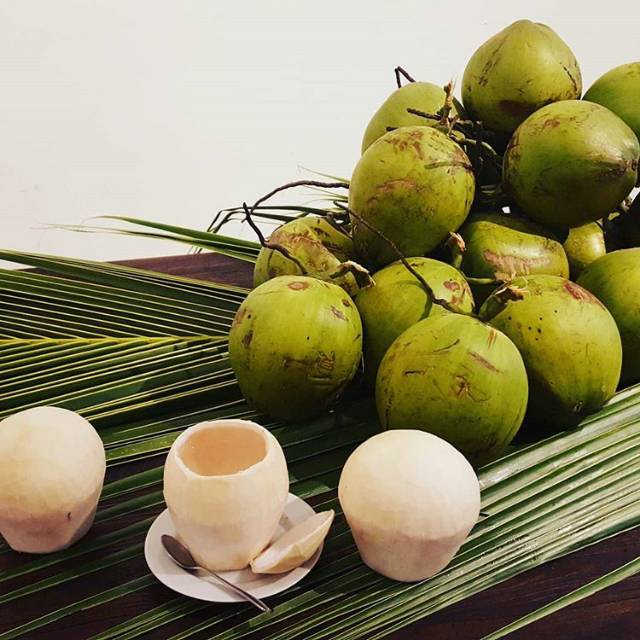 Bibit kelapa pandan wangi Thailand F1