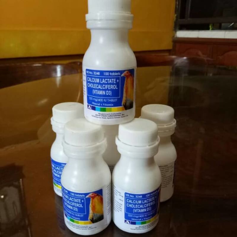 Calcium lactate / kalsium ayam / pembentukan tulang ayam