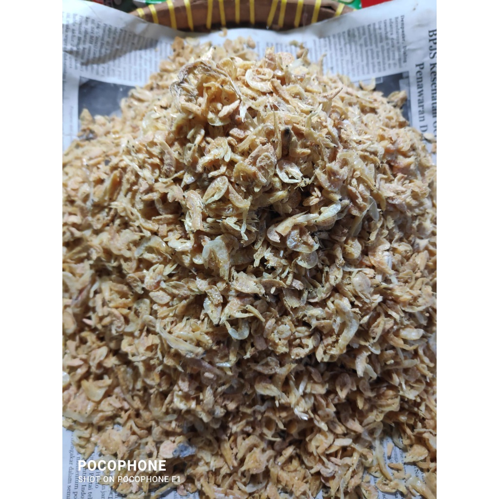 

Udang Rebon Tawar