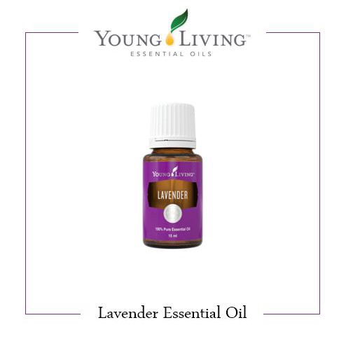 Young Living Lavender Oil / Lavender Essential Oils
