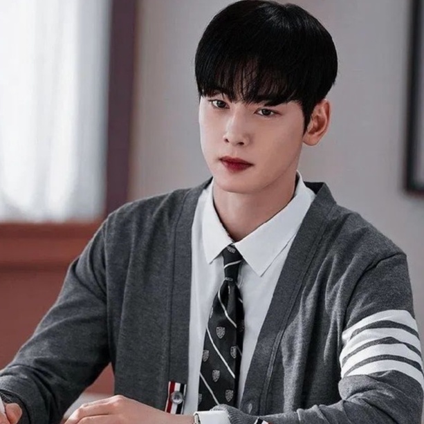 [PO: DP 50%] Cha Eunwoo - True Beauty Side Stripe Cardigan