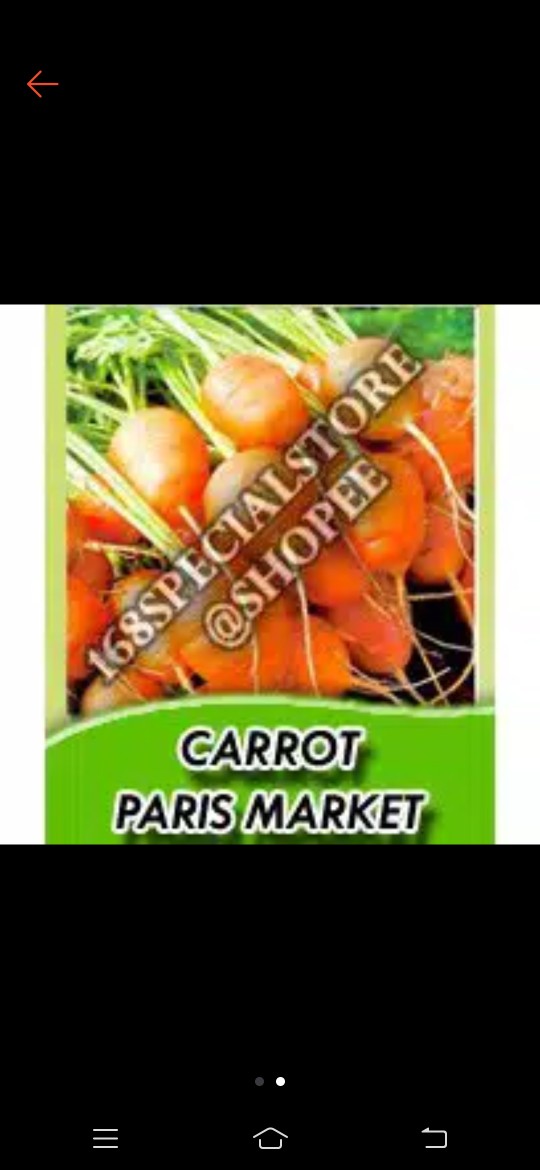 Biji Wortel Pasar Paris (biasa Di Jual Di Pasar Paris Sesuai Dengan Namanya) Tahan Suhu Panas
