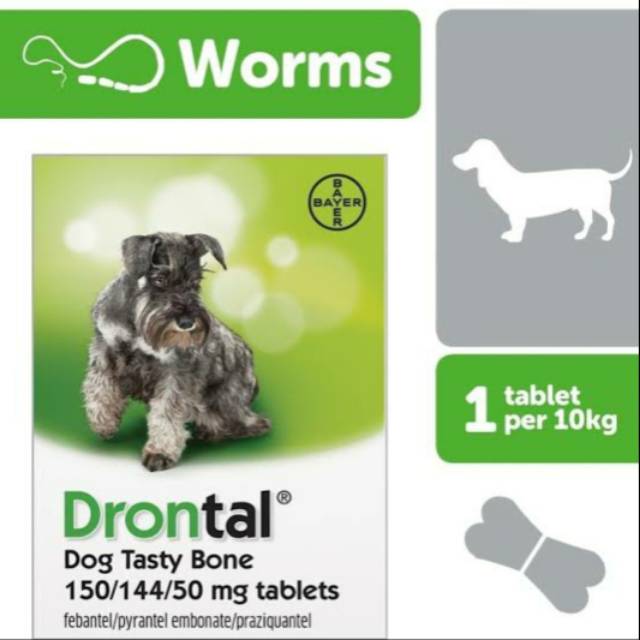 15+ How often should you worm a puppy with drontal