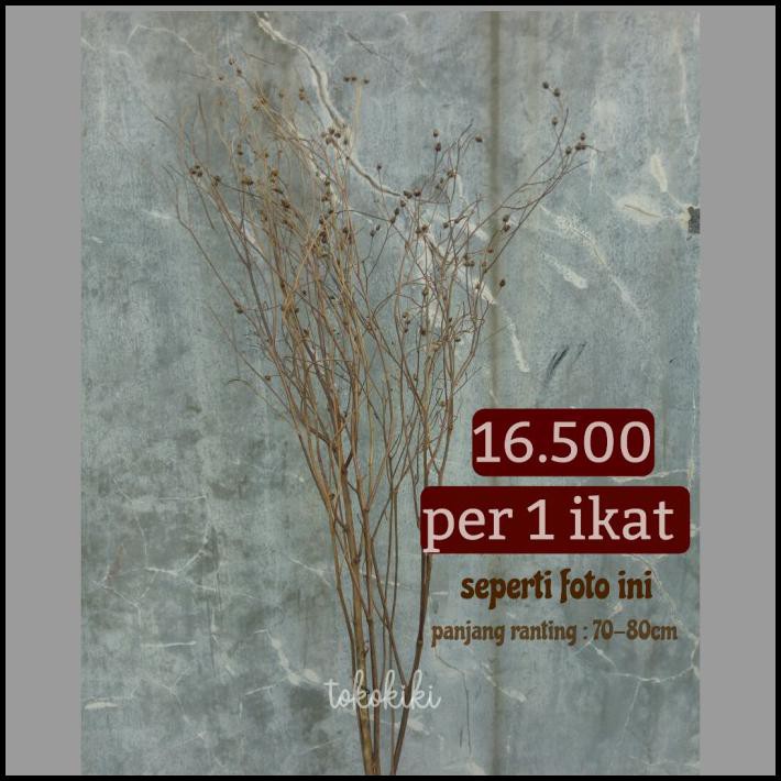 G5U0 AKAR RANTING ASPARAGUS RUSTIC WEDDING DECOR 8RQQ