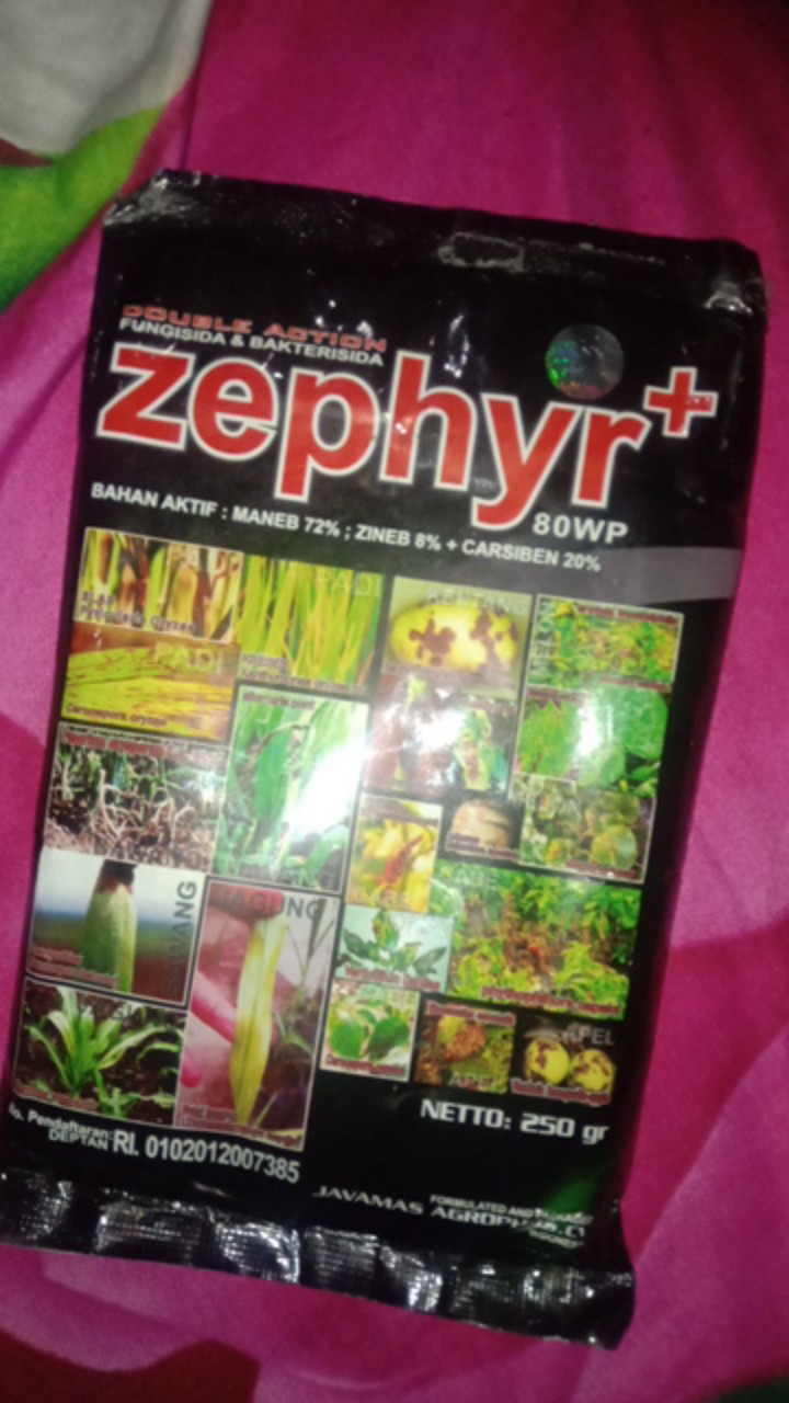 Fungisida Bakterisida Zephyr Pengendali Patek Blas Potong Leher Dobel Bahan Aktif Zepir Sepir