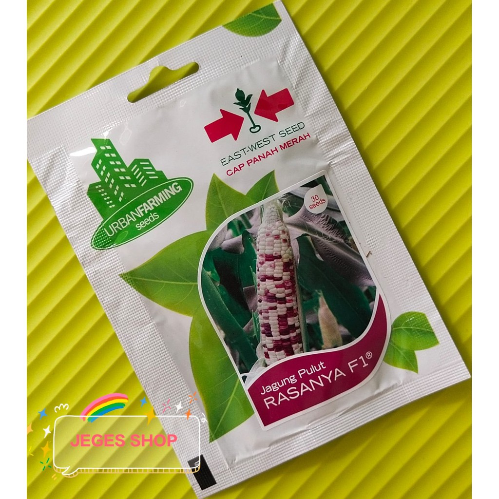 Jagung Pulut Rasanya F1