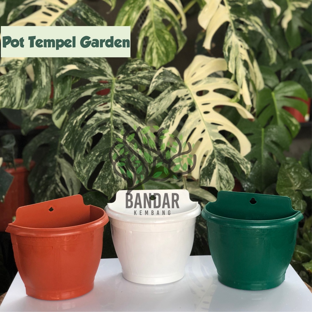 Pot Dinding Tempel Garden Warna Putih Merah Bata Hijau - Bukan Pot Dinding Tempel GBL/Pot Tawon Dind