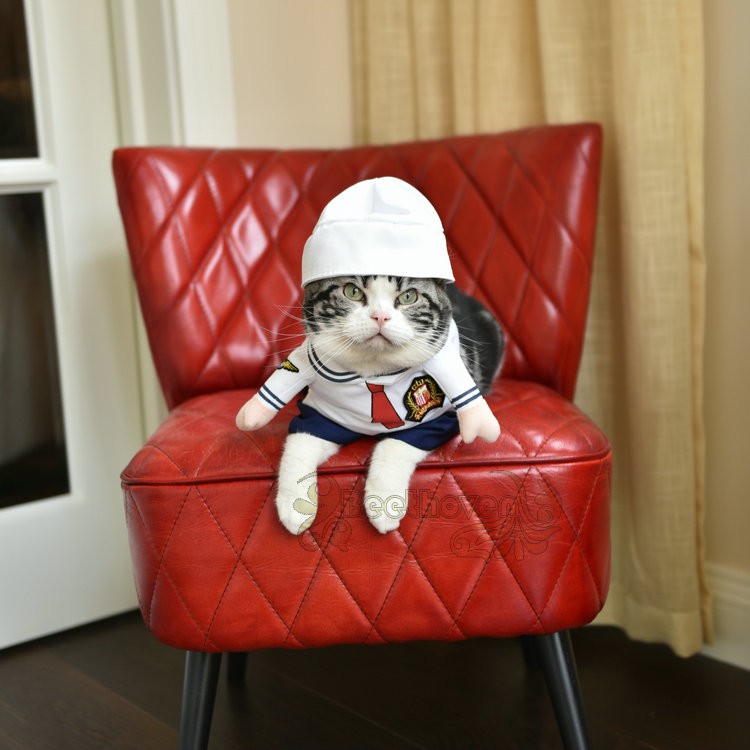 Kandang Anjing Kucing Model Jepang Kojima Lucu Shopee Indonesia