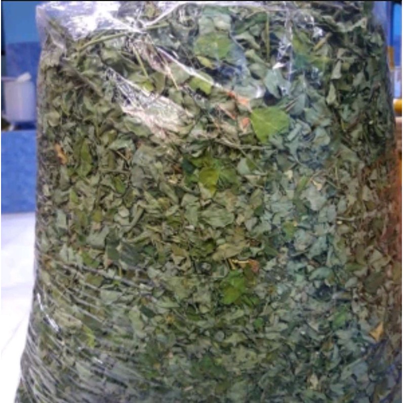 

Daun kelor kering 500g