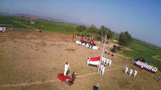 Selang Magic Hose 15meter 50ft