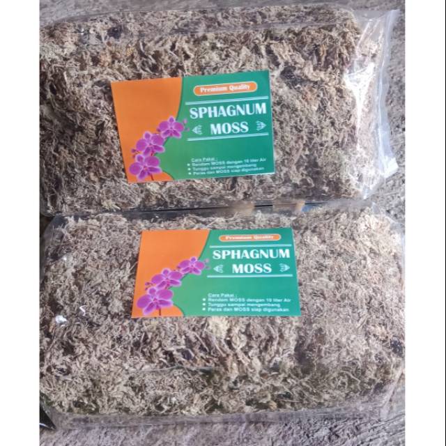 Mos putih, spagnum mos, media Anggrek, media steril, premium