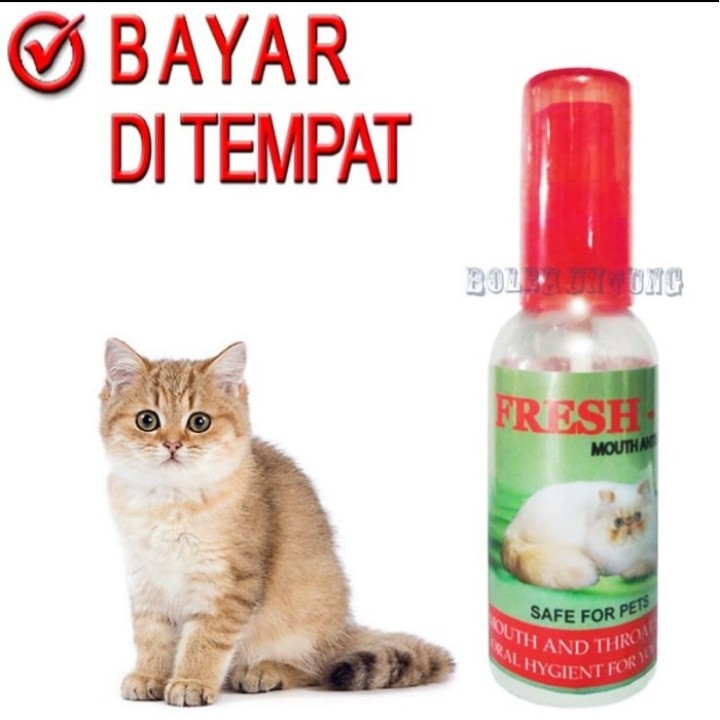 Fresh C Obat Bau Mulut Kucing Sakit Sariawan Tenggorokan Antiseptik Shopee Indonesia