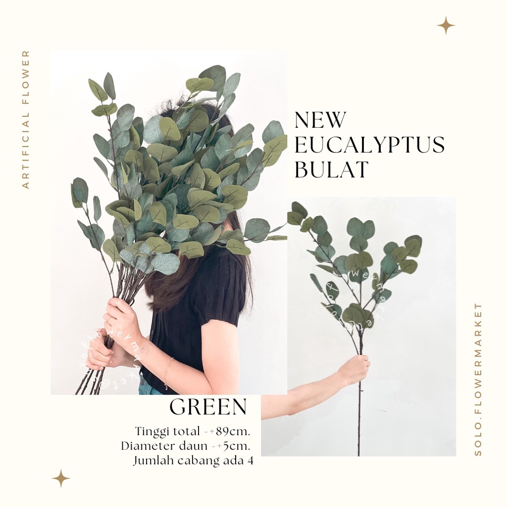 Jual NEW EUCALYPTUS BULAT APPLE FLOWER SILVER DOLAR LEAVES Daun