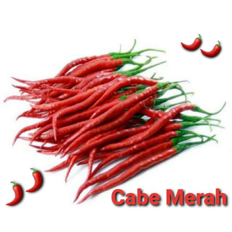 

Cabe Merah Kriting / Cabe Merah / Cabe Curah