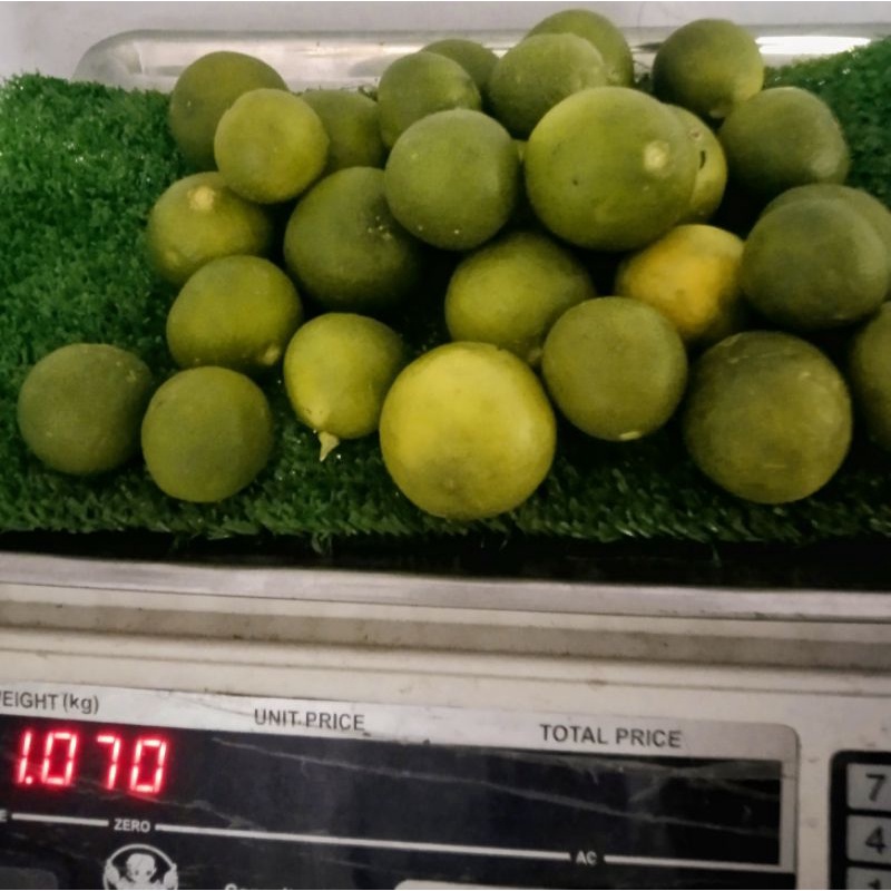 

Buah Jeruk nipis berat 1 kilogram, Pengiriman medan