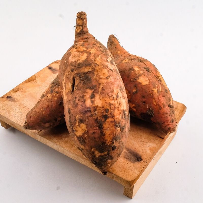

KETELA MADU manis 1 kg jajanan olahan makanan enak