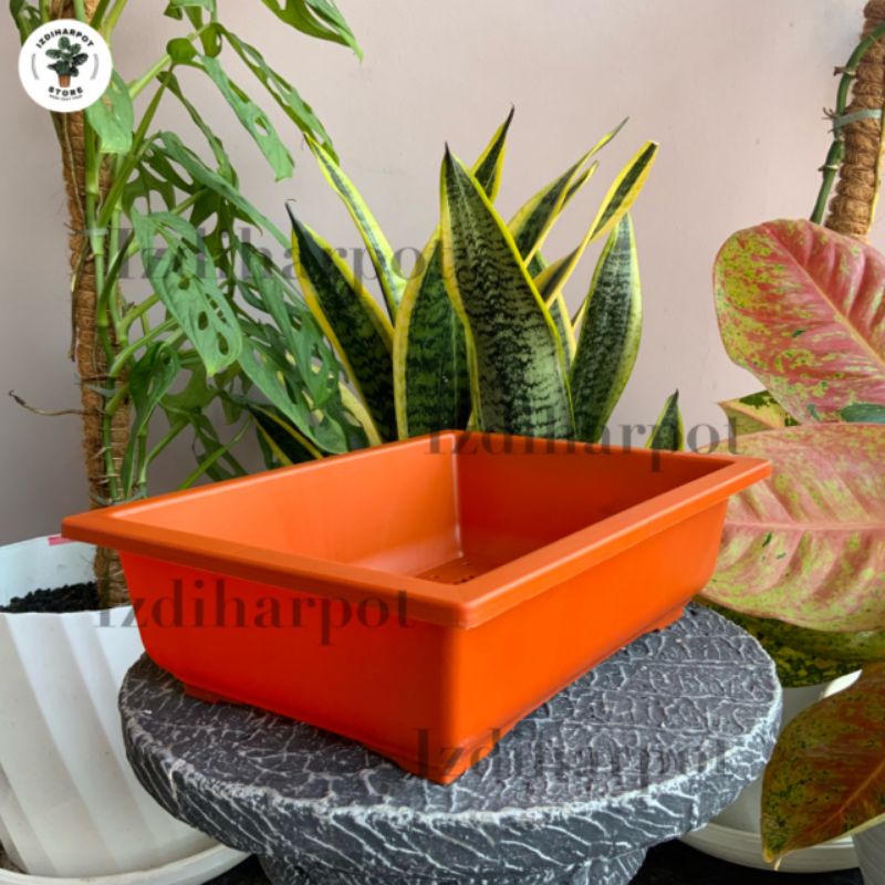 pot bunga tanaman ceper NKT BONSAI 02 MERAH BATA - NKT BONSAI 02