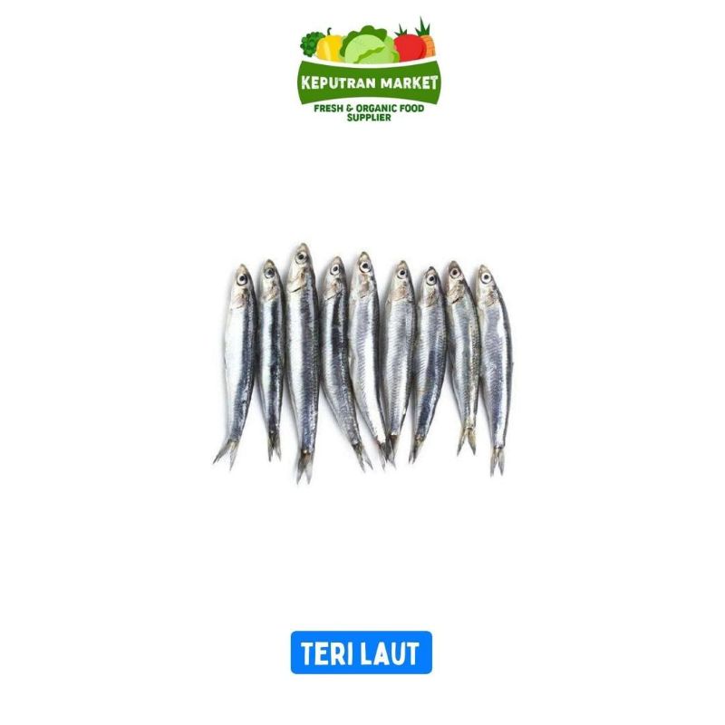 

Ikan Teri Laut Per 500gr / Ikan Segar / Frozen Food