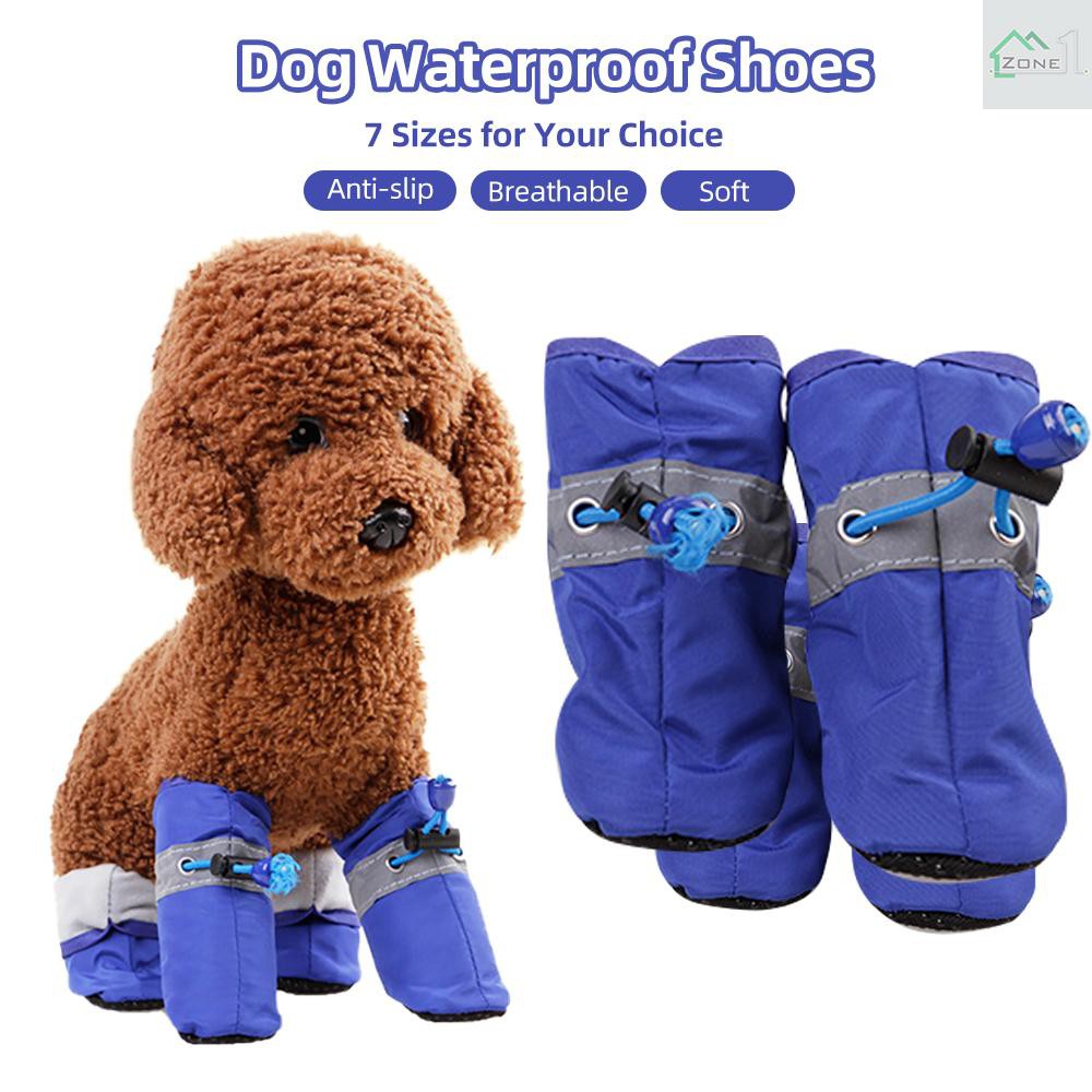 shoes for pomeranian dogs