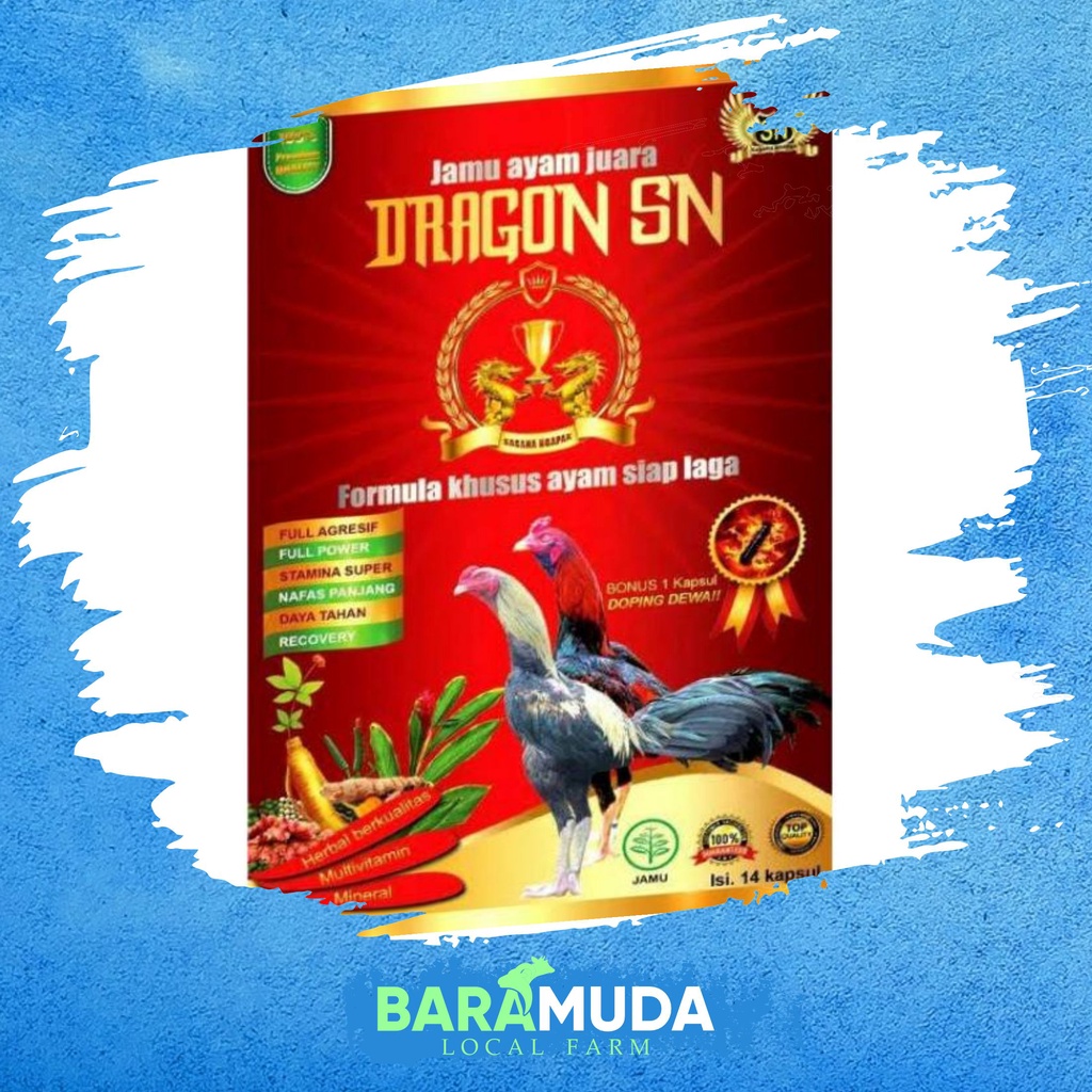 Jamu Ayam Dragon SN | Jamu Ayam Laga | Jamu Ayam Aduan