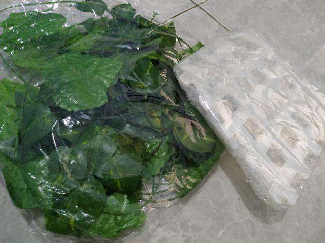 Pot Dinding Vas Dinding Bentuk Wajik Pot Pagar Wajik Pot Pagar Wajik