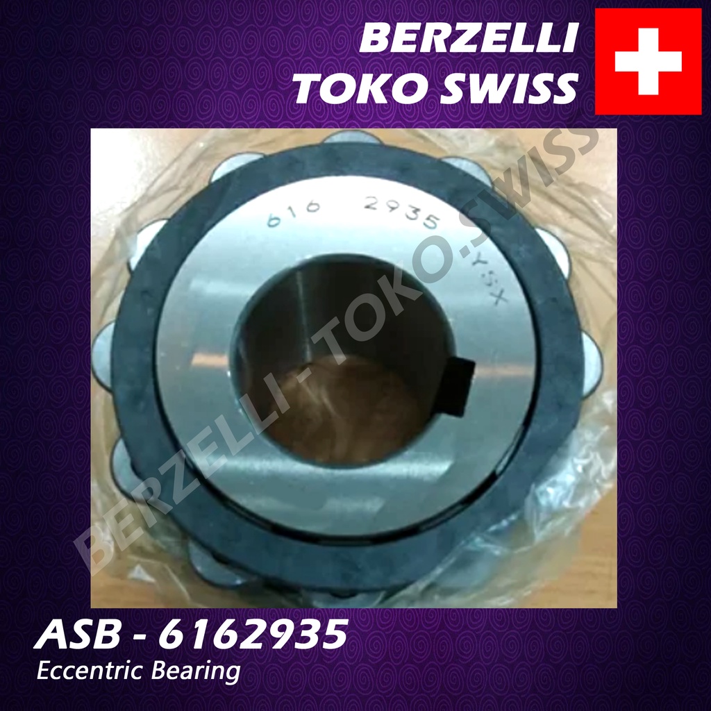 ASB 6162935 Eccentric Bearing