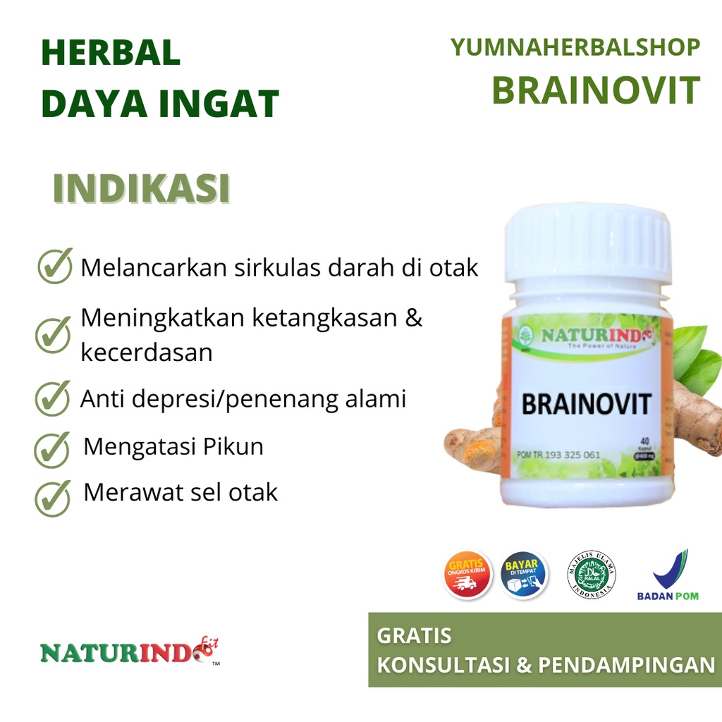 Jual Herbal Nutrisi Otak Anti Depresan Cemas Anxiety Melancarkan ...