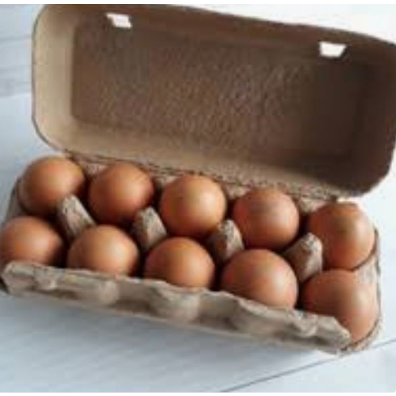 

telur ayam omega 1 pack ( isi 10)