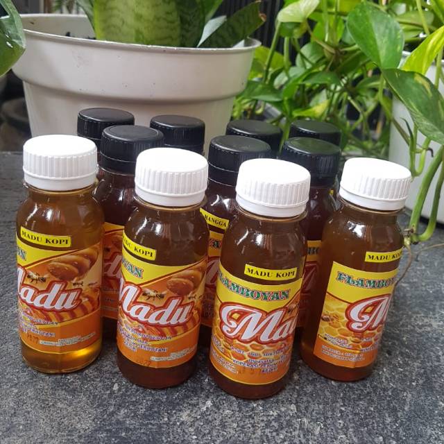 

Madu Kopi Asli Enak Murah