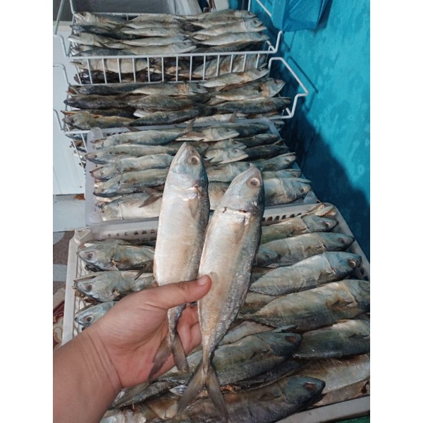 

ikan asin peda 500gr