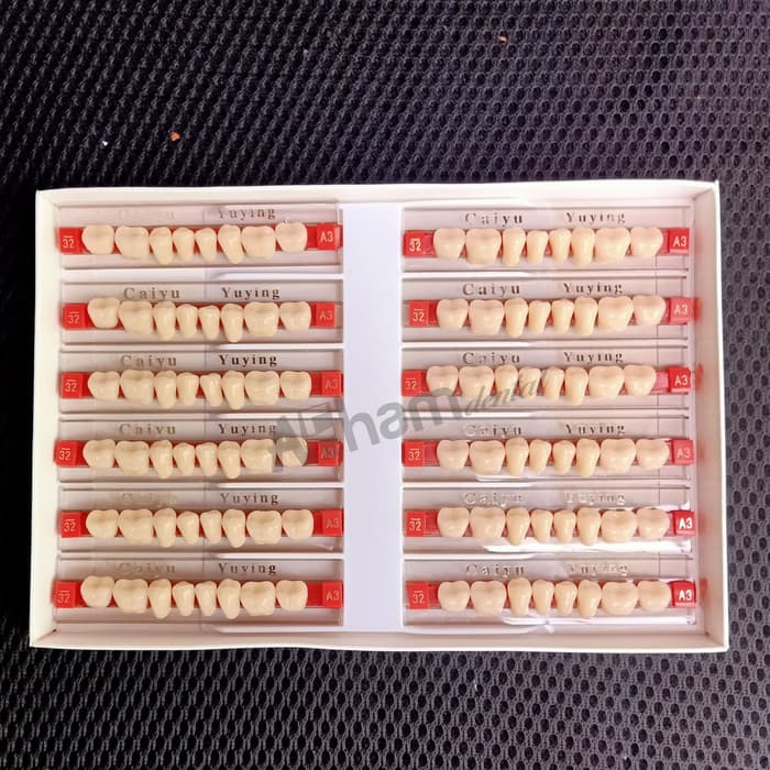 DENTAL 1 BOX GIGI PALSU BELAKANG BAWAH POSTERIOR LOWER