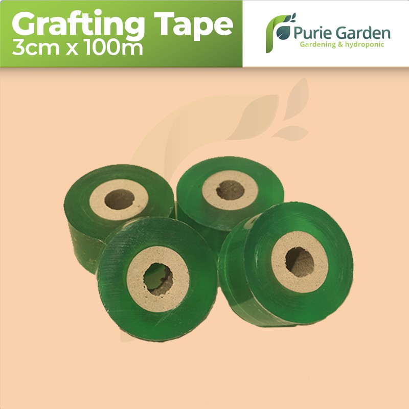 Grafting Tape Plastik Okulasi Parafilm 3cm x 100 PG SBY