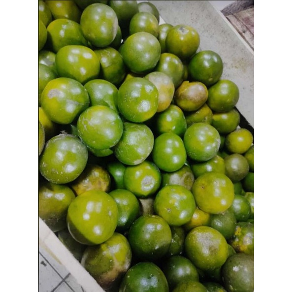 

jeruk peras 1/2 kg