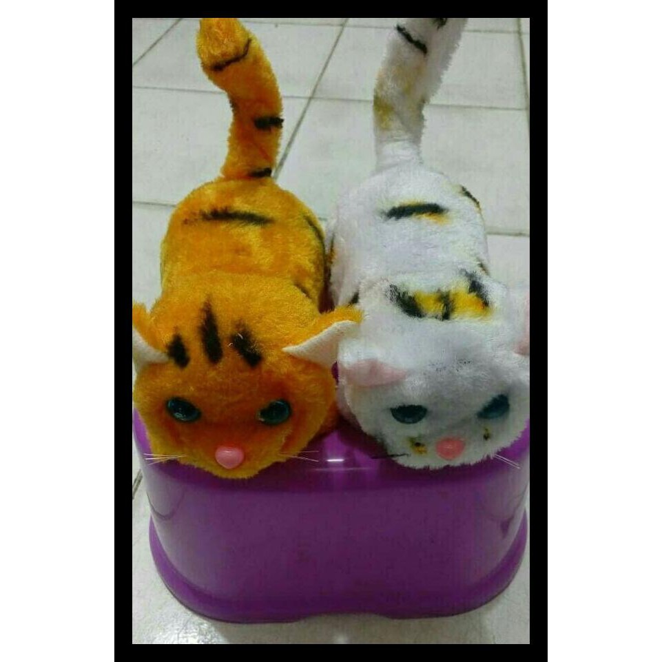 Boneka Kucing Bergerak Dan Bersuara Termurah Kode 891 Shopee