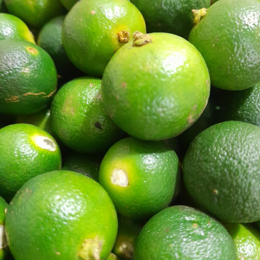 

Jeruk Sonkit/Jeruk Kunci