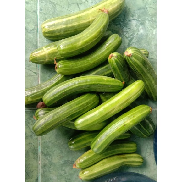 

Sayur Krai