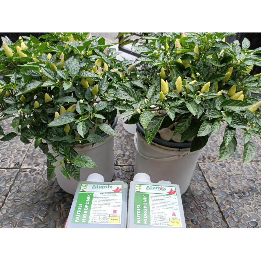 LyLt Nutrisi Hidroponik ABmix (Atomix) untuk sayuran dan buah buahan, 500ml