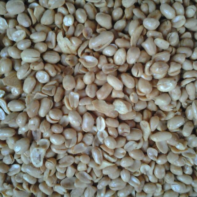 

Kacang bawang