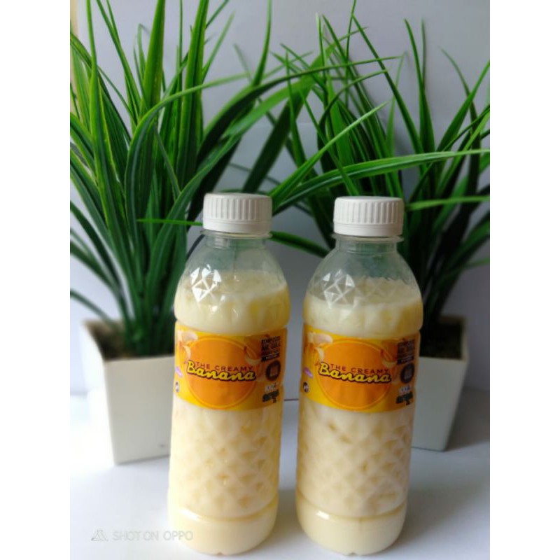

arqa creamy