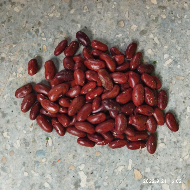 Kacang Merah 250 gram