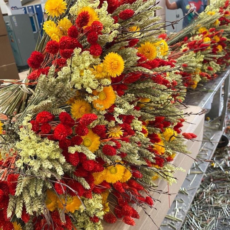 Daun Palem Kering Daun Palem Kering Daun Palem Jumbo Besar Dekorasi Warna Daun Palem Kering Daun Pal