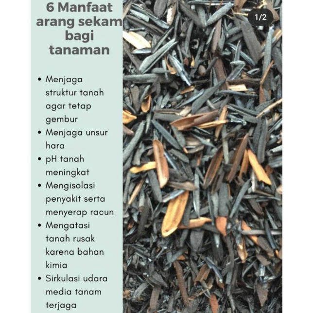 sekam bakar (arang sekam)