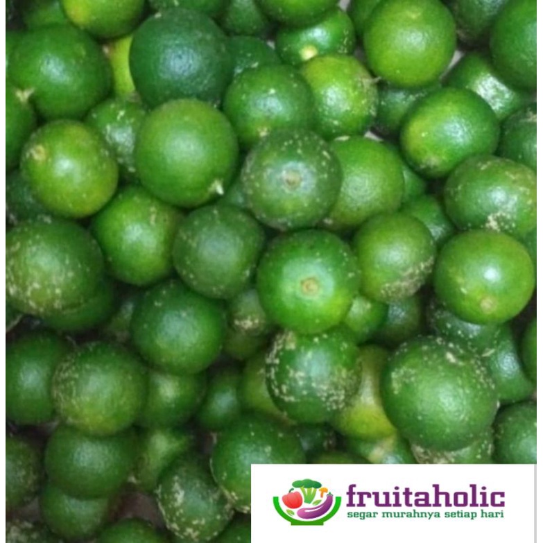 

JERUK SONKIT/KUNCI Termurahhhh