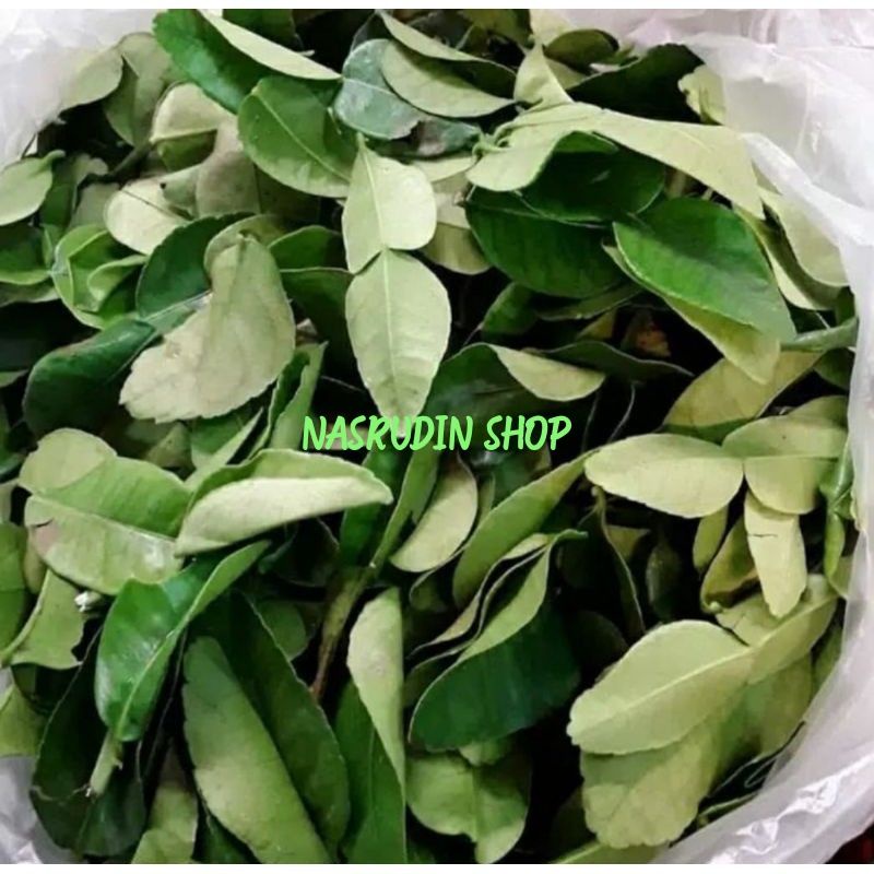 

[Fresh] DAUN JERUK BALI SEGAR LANGSUNG PETIK DAUN JERUK BESAR