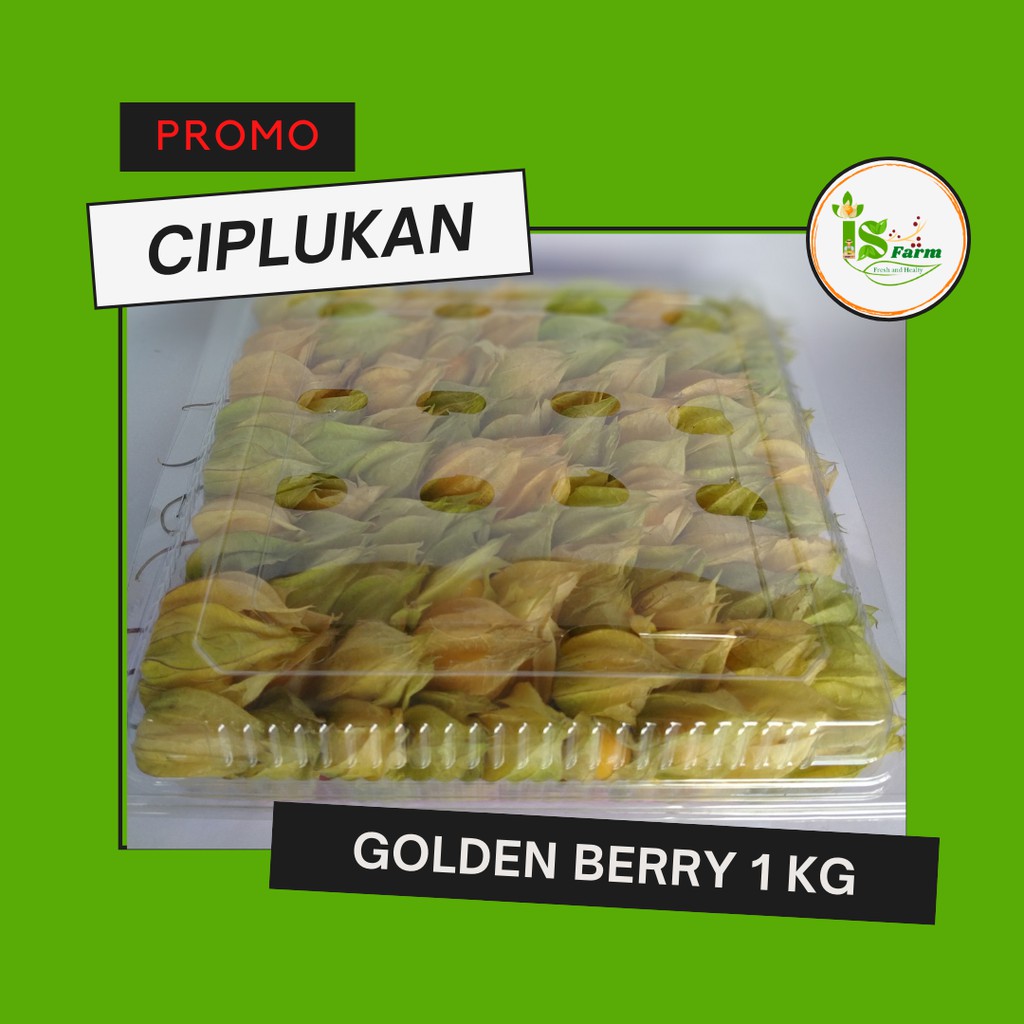 

Buah Ciplukan / Golden Berry 1 kilogram promo dijamin paling murah