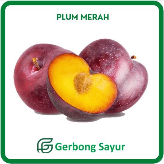 

Buah Plum Merah Segar Manis 250 Gram
