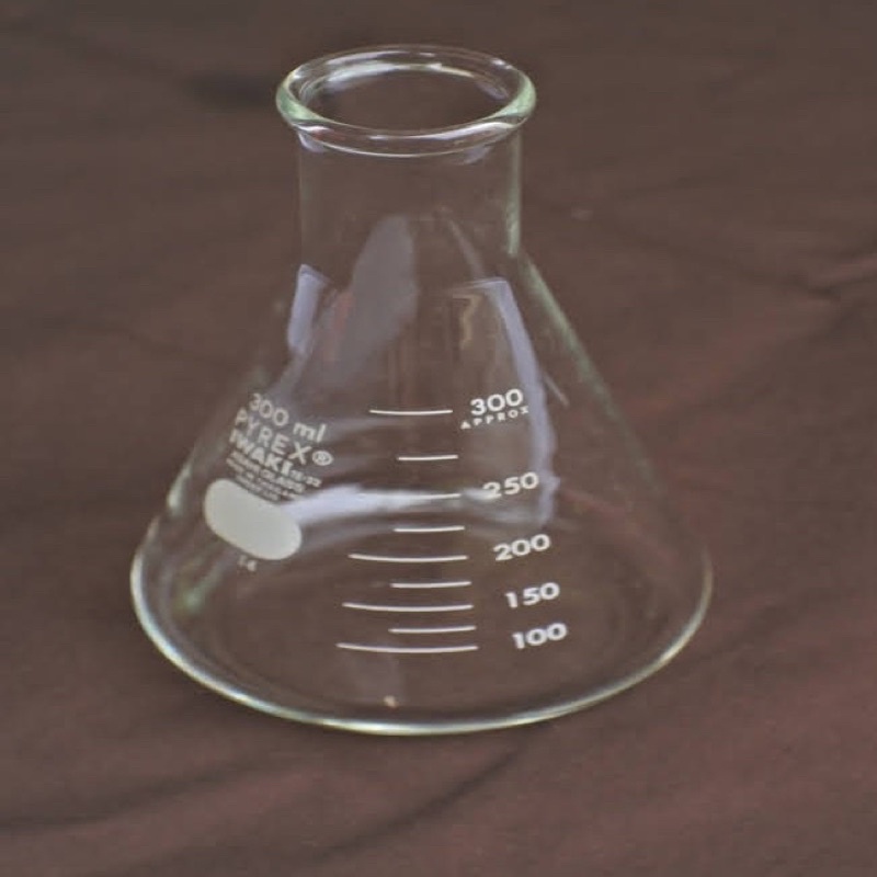 Erlenmeyer Flask 300 ml IWAKI PYREX