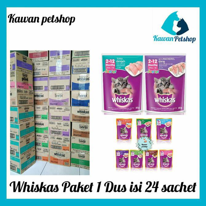 

Promo Price Whiskas Sachet Junior Adult 1 Dus 24 Sachet/Whiskas Pouch