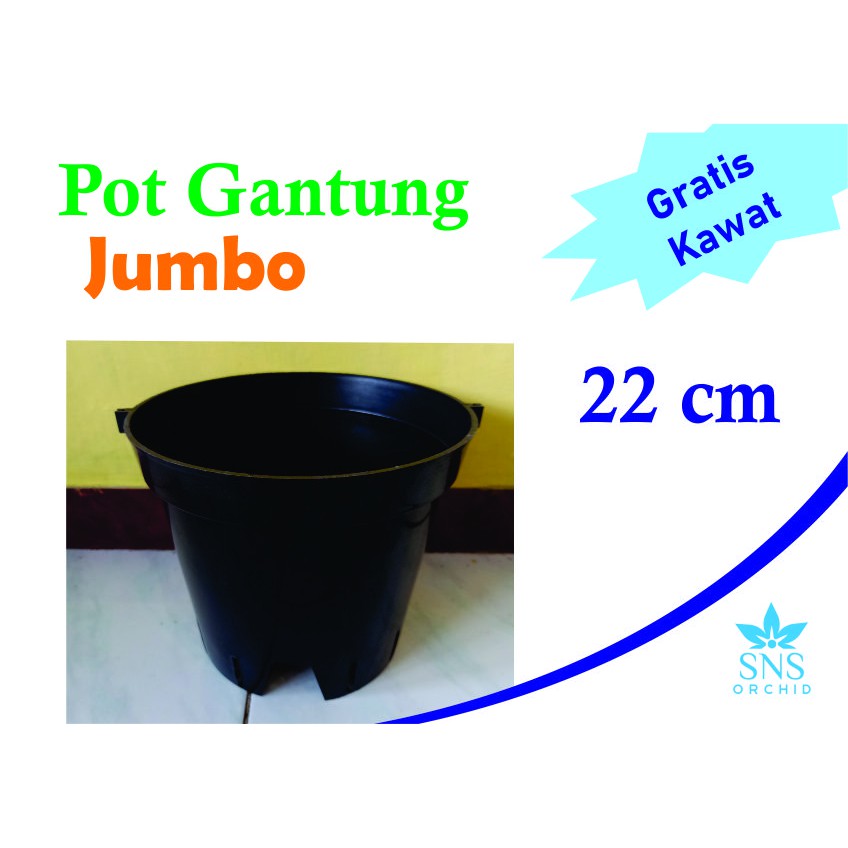 Pot Gantung Jumbo 22 cm Bunga Anggrek Cattleya Dendro Bulan Kawat Catleya Besar Plastik Bulat